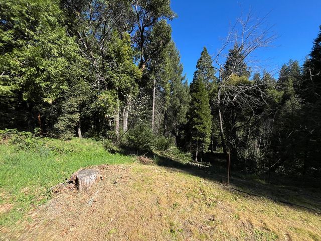 14619 Old Marysville Rd, Camptonville, CA 95922