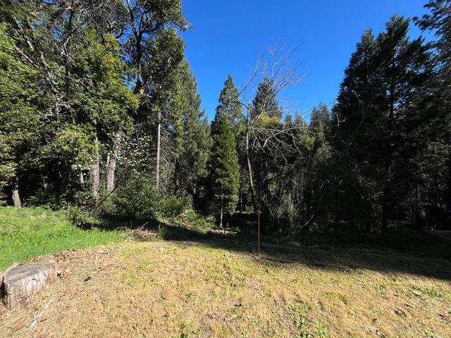 14619 Old Marysville Rd, Camptonville, CA 95922