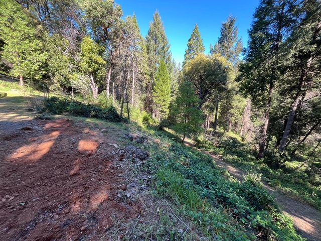 14619 Old Marysville Rd, Camptonville, CA 95922