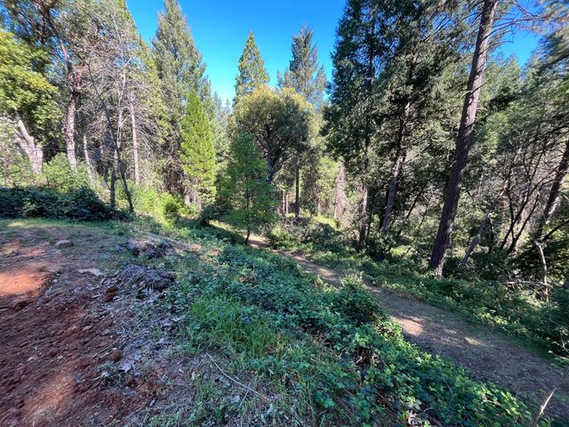 14619 Old Marysville Rd, Camptonville, CA 95922