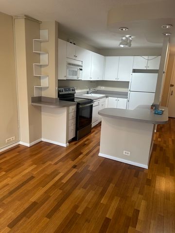 405 N Wabash Avenue 308, Chicago, IL 60611