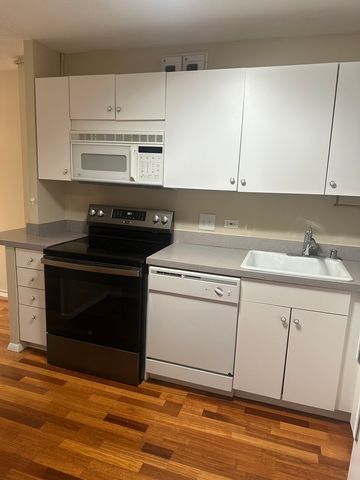 405 N Wabash Avenue 308, Chicago, IL 60611