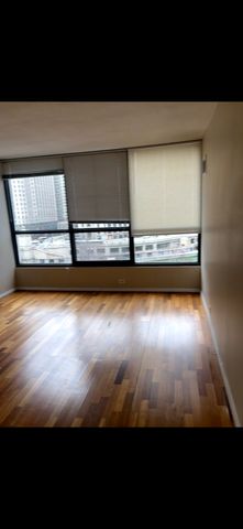 405 N Wabash Avenue 308, Chicago, IL 60611