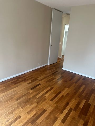 405 N Wabash Avenue 308, Chicago, IL 60611