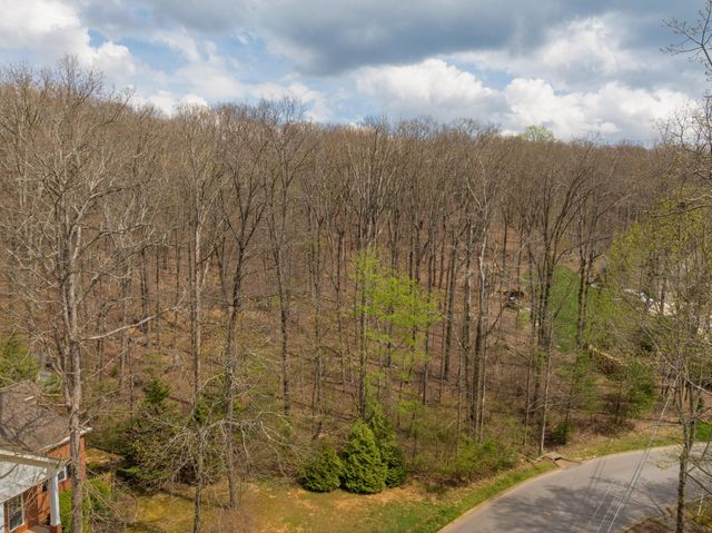 3936 Windtree Drive, Signal Mountain, TN 37377