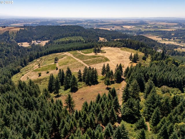 0 Ne OLD PARRETT MOUNTAIN Rd, Newberg, OR 97132