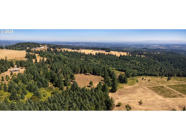 0 Ne OLD PARRETT MOUNTAIN Rd, Newberg, OR 97132
