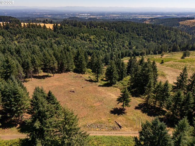 0 Ne OLD PARRETT MOUNTAIN Rd, Newberg, OR 97132