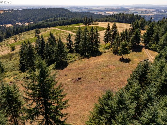 0 Ne OLD PARRETT MOUNTAIN Rd, Newberg, OR 97132