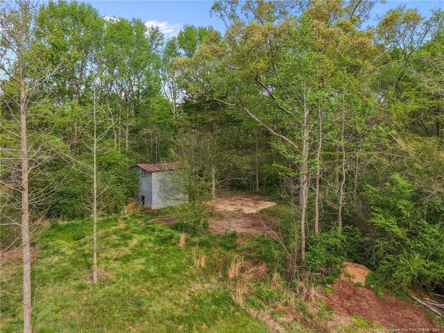 186 Lewis Brown Road, Bennett, NC 27208