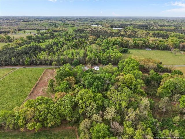 186 Lewis Brown Road, Bennett, NC 27208