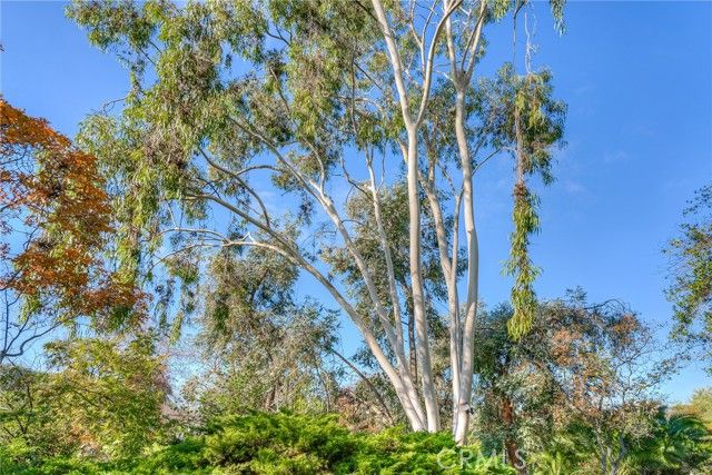 3570 Olive Highway, Oroville, CA 95966