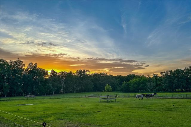 16242 NW 130TH STREET, Williston, FL 32696