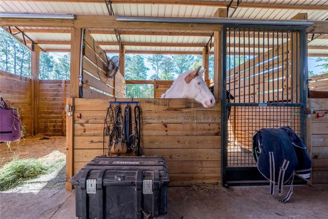 16242 NW 130TH STREET, Williston, FL 32696