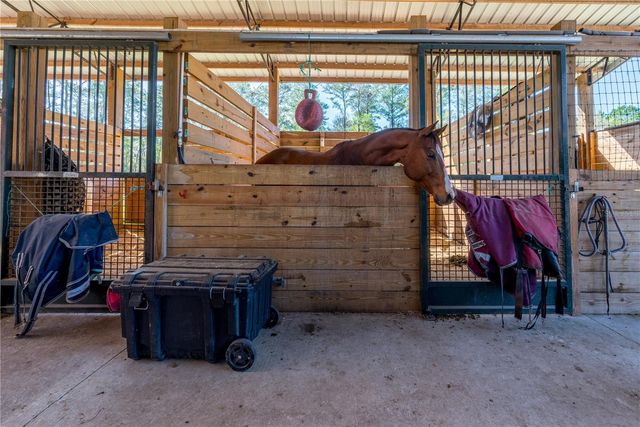 16242 NW 130TH STREET, Williston, FL 32696