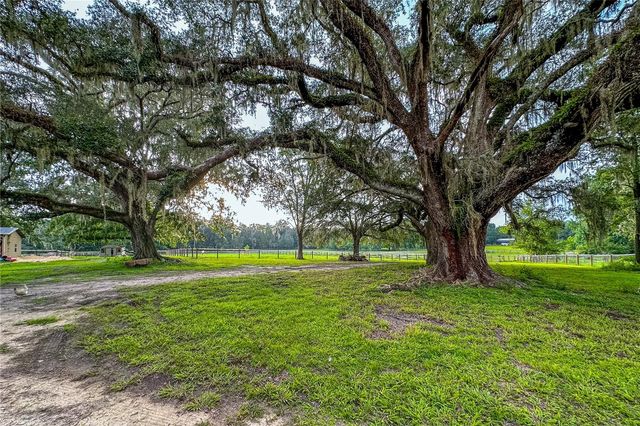 16242 NW 130TH STREET, Williston, FL 32696