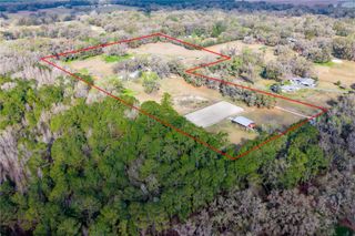 16242 NW 130TH STREET, Williston, FL 32696