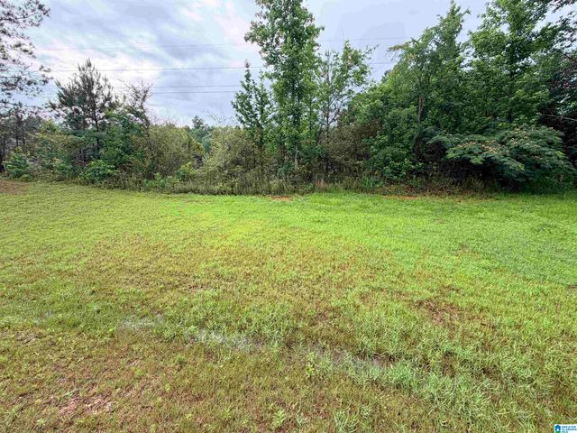 6296 STEEPLECHASE COVE, Pinson, AL 35126
