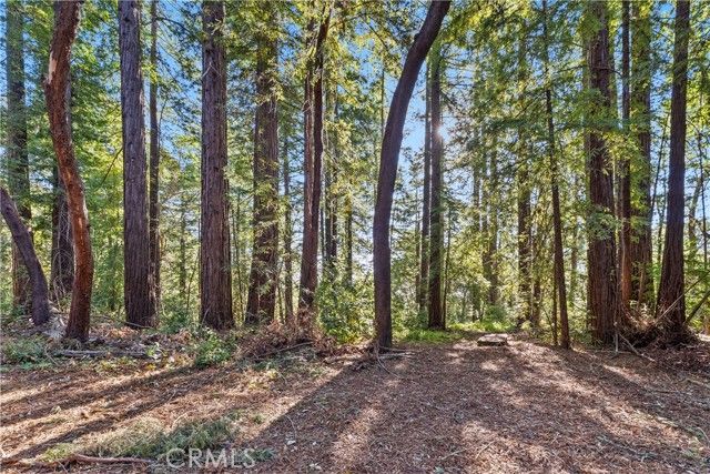 4419 Trout Gulch, Aptos, CA 95003