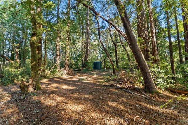 4419 Trout Gulch, Aptos, CA 95003