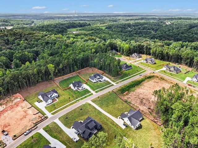 156 Belle Hall Drive, Newnan, GA 30263