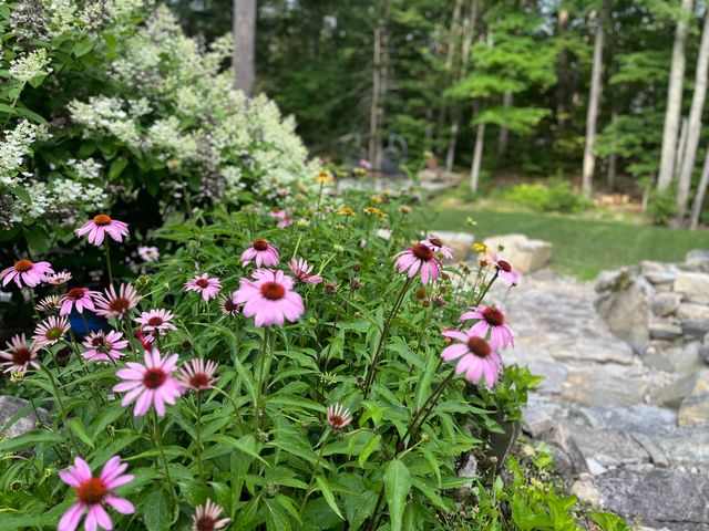 56 Kings Pine Road, Wolfeboro, NH 03894