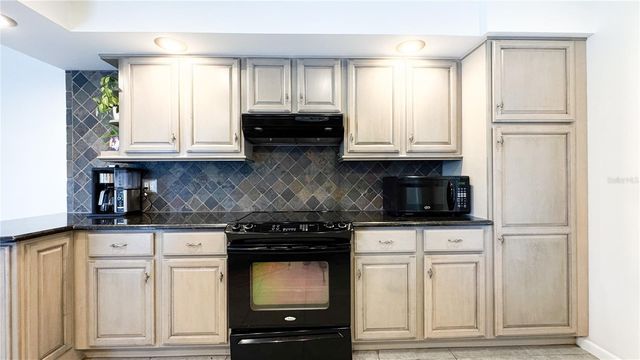 1480 CHUKAR RIDGE, Palm Harbor, FL 34683