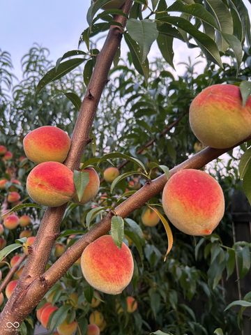 267 Iowa Street, Indianapolis, IN 46225