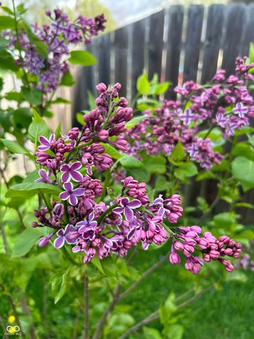 267 Iowa Street, Indianapolis, IN 46225