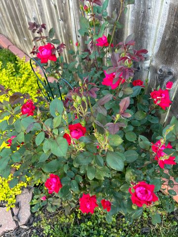 267 Iowa Street, Indianapolis, IN 46225