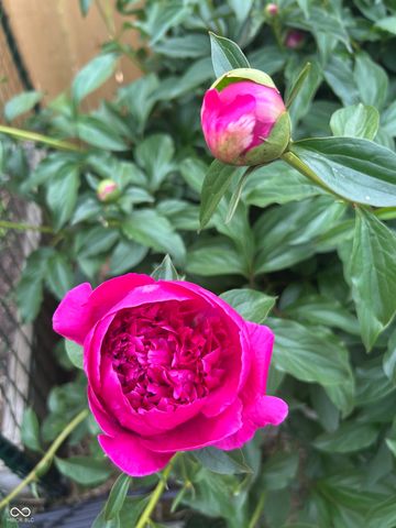 267 Iowa Street, Indianapolis, IN 46225