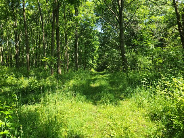 35176 Mill Lake Road, Bloomingdale Twp, MI 49055