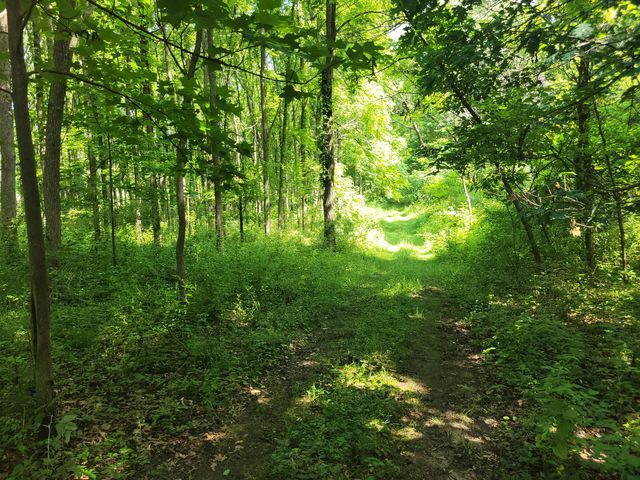 35176 Mill Lake Road, Bloomingdale Twp, MI 49055