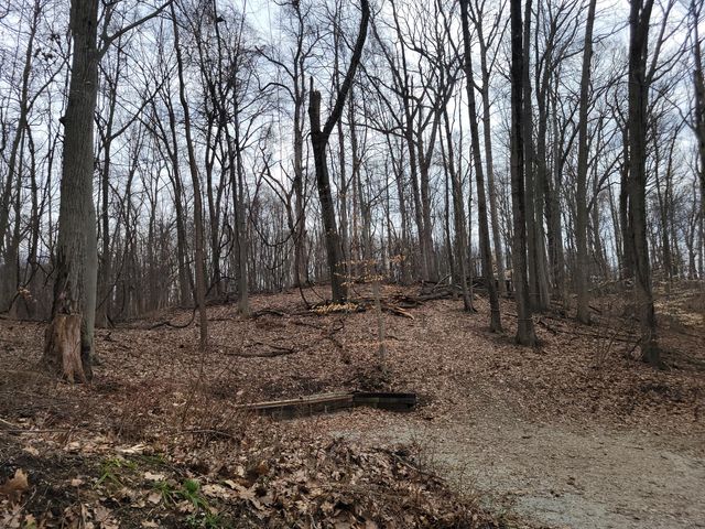 35176 Mill Lake Road, Bloomingdale Twp, MI 49055