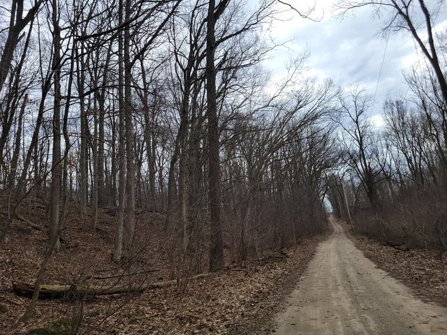 35176 Mill Lake Road, Bloomingdale Twp, MI 49055