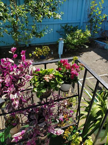 2317 Galway Drive, South San Francisco, CA 94080