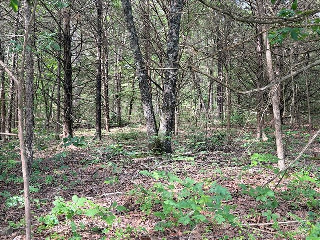 Lot 10 Seaton Drive, Bella Vista, AR 72714