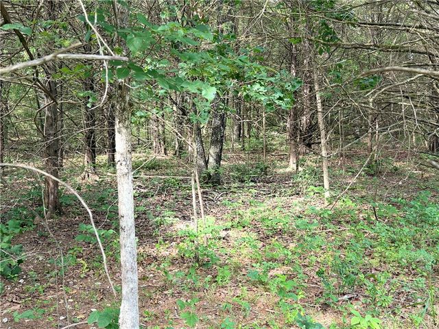 Lot 10 Seaton Drive, Bella Vista, AR 72714