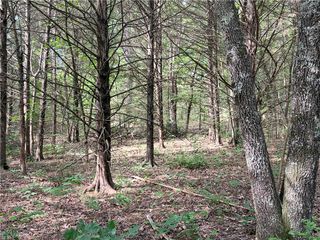 Lot 10 Seaton Drive, Bella Vista, AR 72714