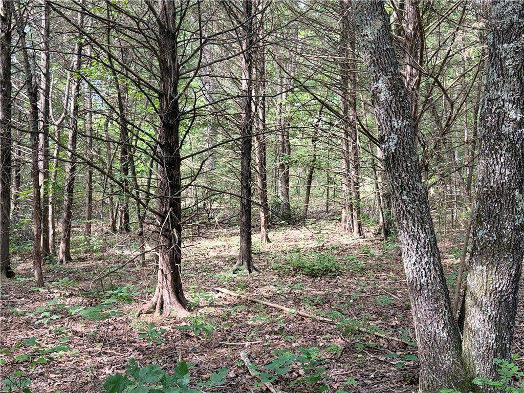Lot 10 Seaton Drive, Bella Vista, AR 72714
