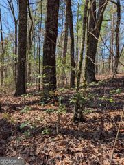 0 Amber Lane, Ellijay, GA 30540