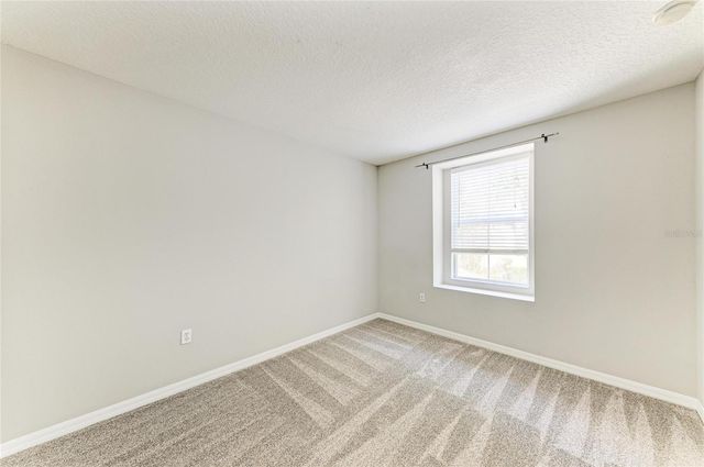 10825 GREAT CARLISLE COURT, Riverview, FL 33578