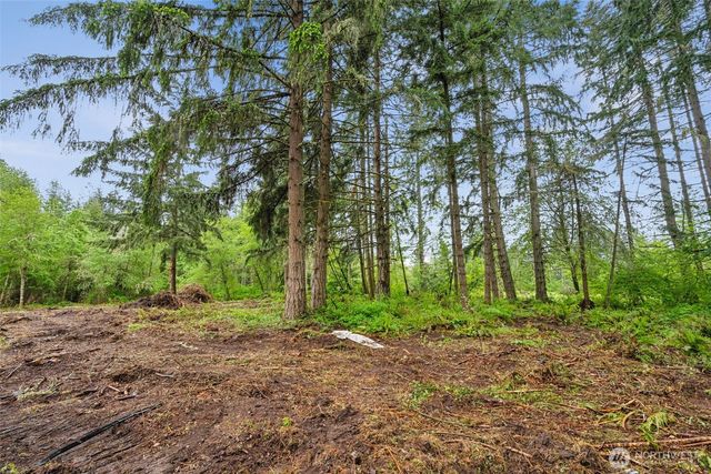 922 322nd Street Ct S, Roy, WA 98580