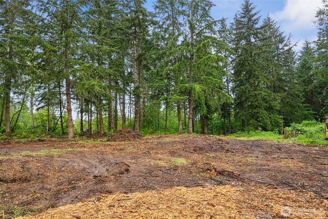 922 322nd Street Ct S, Roy, WA 98580