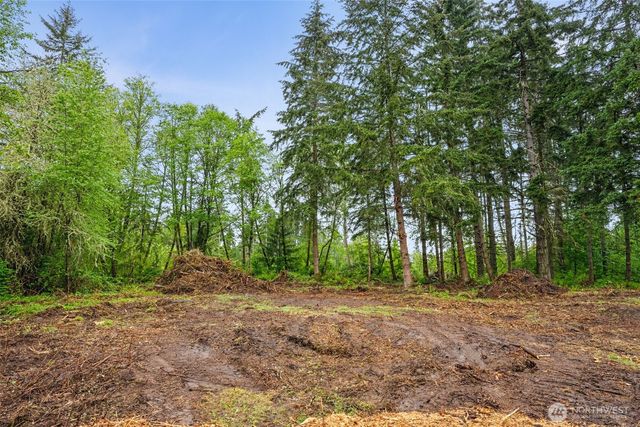 922 322nd Street Ct S, Roy, WA 98580