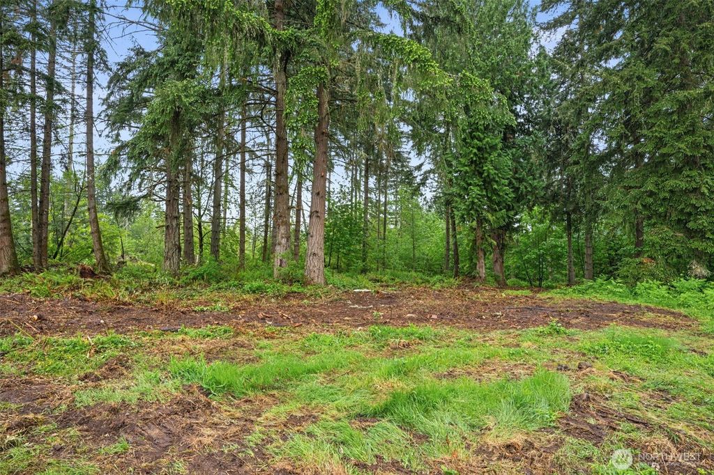922 322nd Street Ct S, Roy, WA 98580