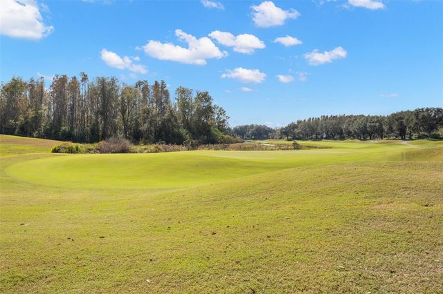 18952 MAISONS DRIVE, Lutz, FL 33558