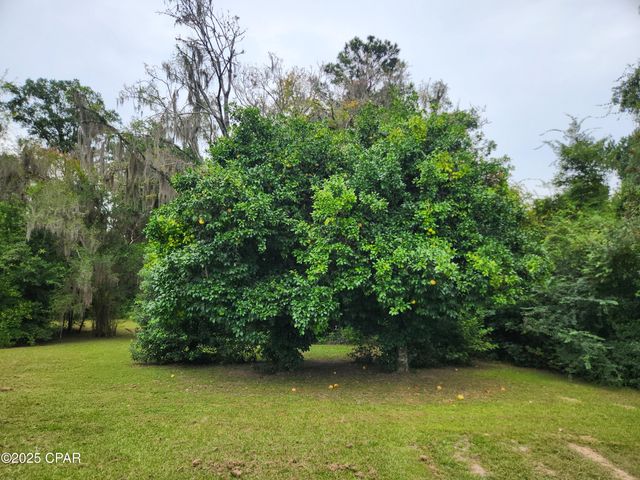 13352 NW County Road 12, Bristol, FL 32321