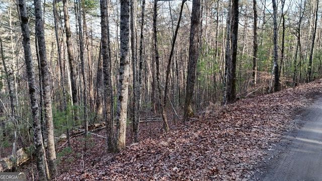 LOT 1 Gold Valley Road, Sautee Nacoochee, GA 30571