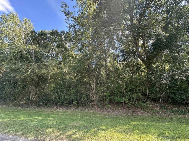 0 Main Street, Winnie, TX 77665